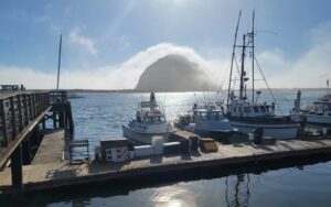 A view of Morro Bay with a boat and Morro Rock in the distance.